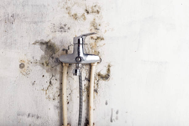 Best Mold Cleaning Services  in North Scituate, MA